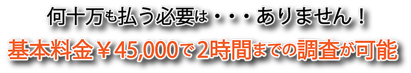 他探偵会社との比較