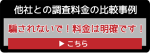 探偵調査料金の他社との比較事例