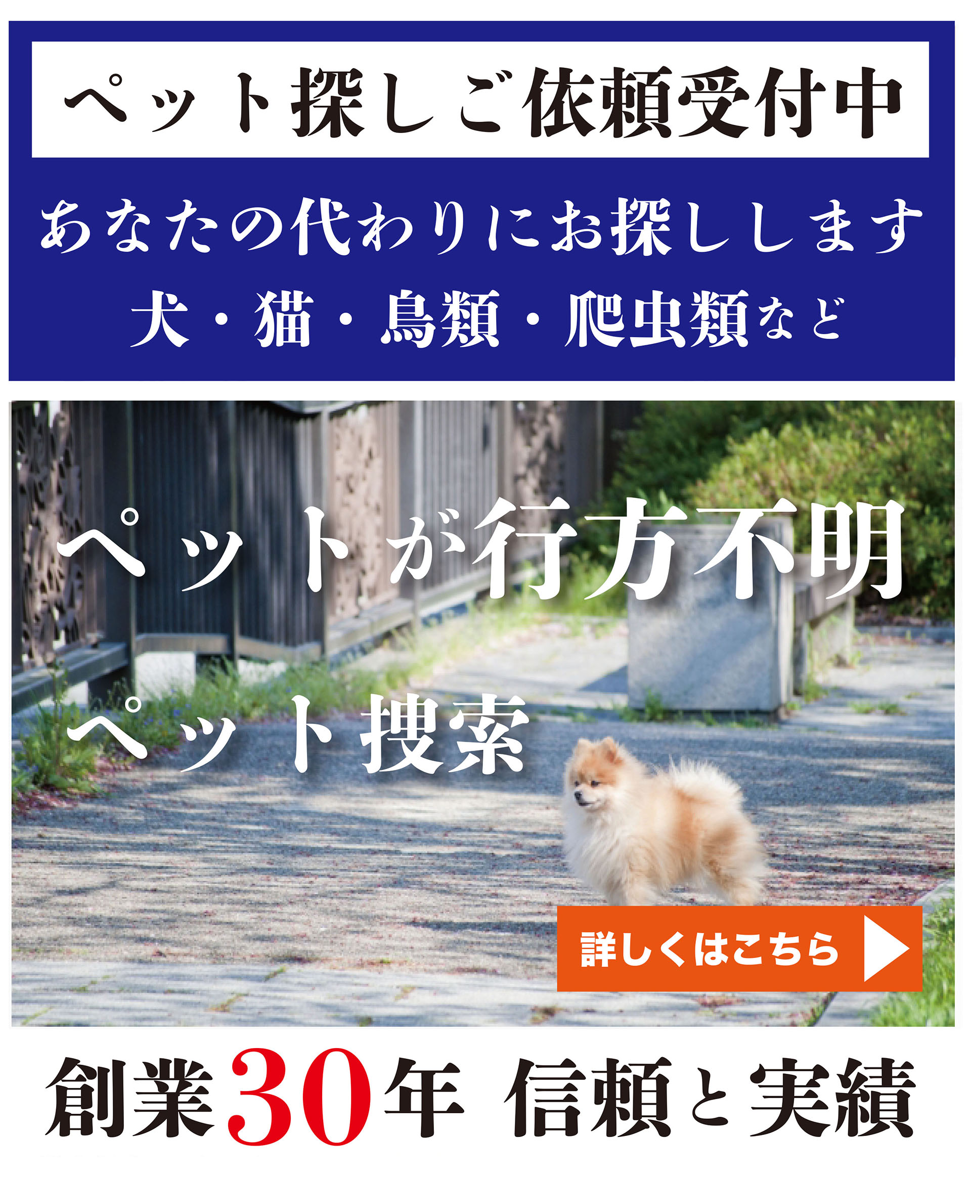 ペット探しのご依頼受付中